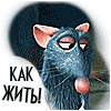 avubegi аватар